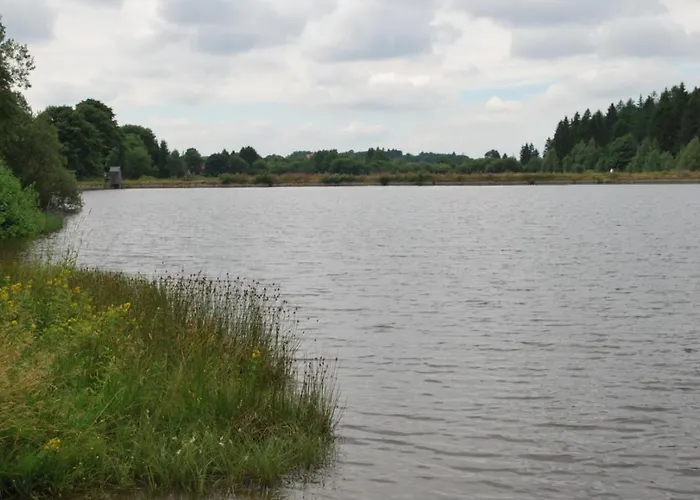 Курортный комплекс Park- Nurdach Клаусталь-Целлерфельд